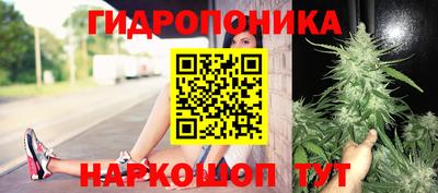 трава Абинск